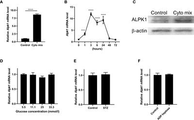 Alpk1 Sensitizes Pancreatic Beta Cells to Cytokine-Induced Apoptosis via Upregulating TNF-α Signaling Pathway